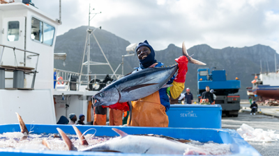 水揚げしたビンナガマグロを抱えて笑顔の漁業者