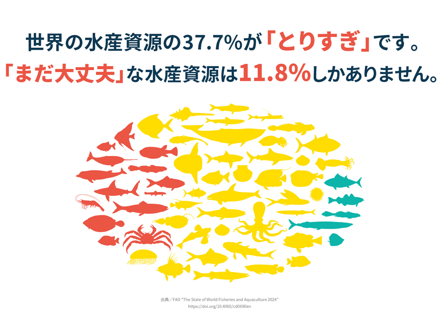 国連食糧農業機関（FAO）の『世界漁業・養殖業白書』によると、世界の漁業の37.7％が持続可能な水準を超えて漁獲されています。