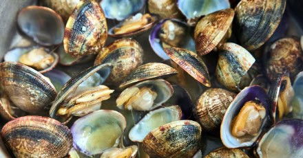 바지락(clam) 스파게티 recipe