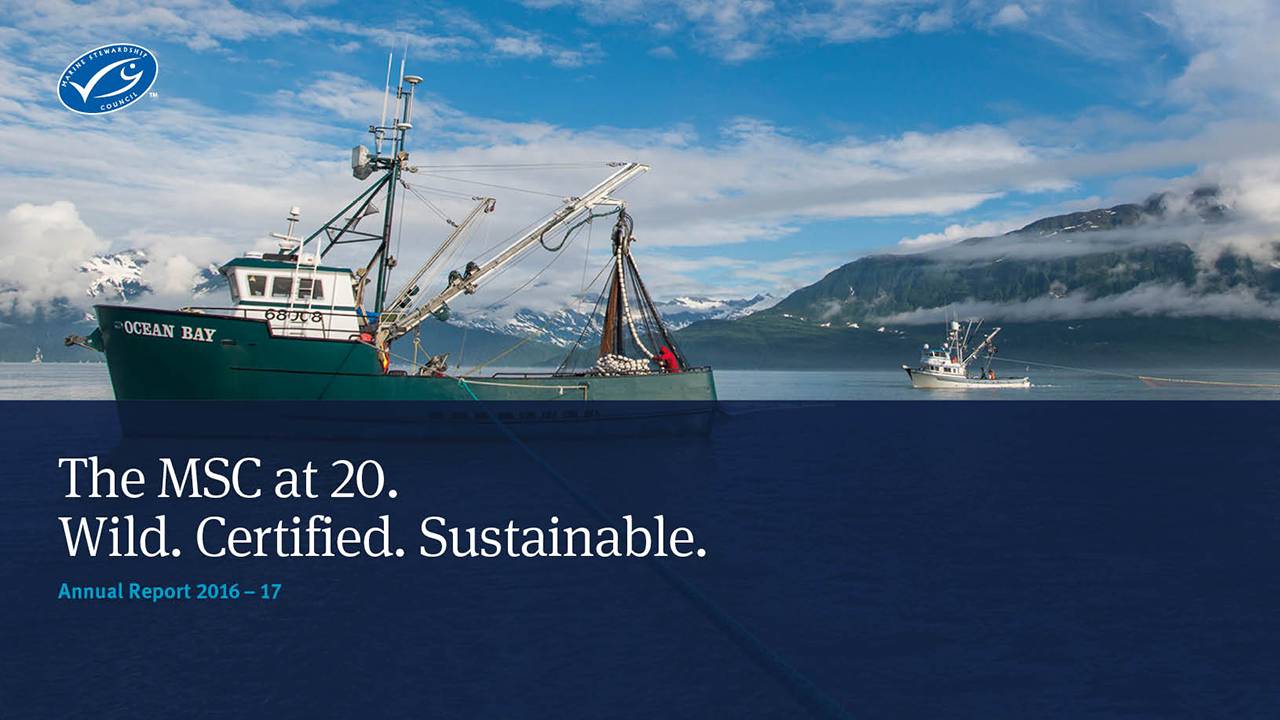 What Is The MSC | Marine Stewardship Council