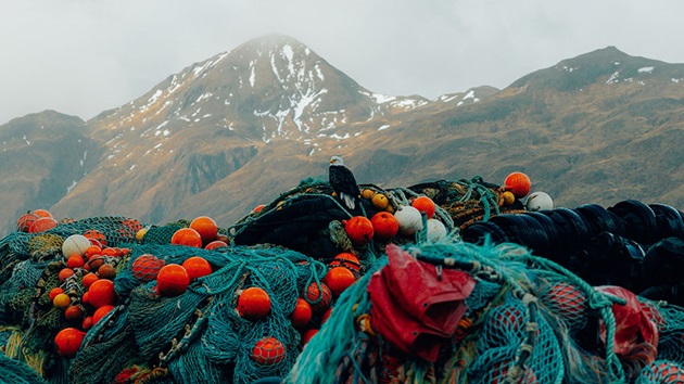 Fisheries preventing plastic pollution