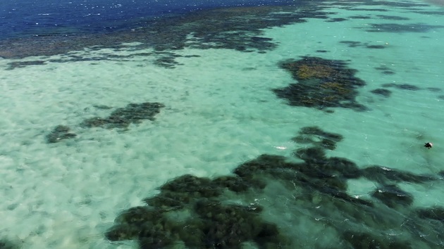 Witness to Climate Change