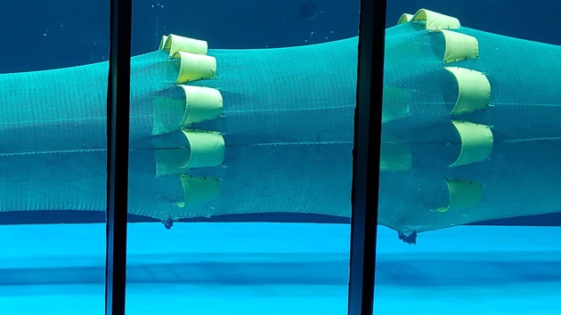 Fishing gear innovation to reduce environmental impacts