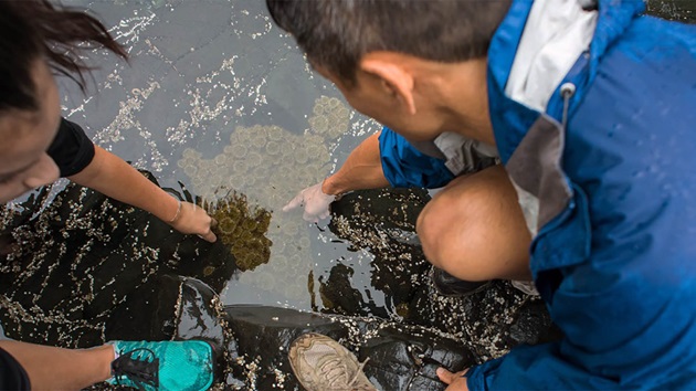 Join our new assessor training program