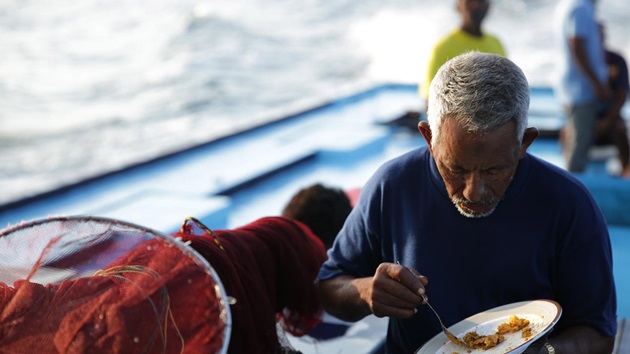 MSC statement on the EAT-Lancet Commission report 2025