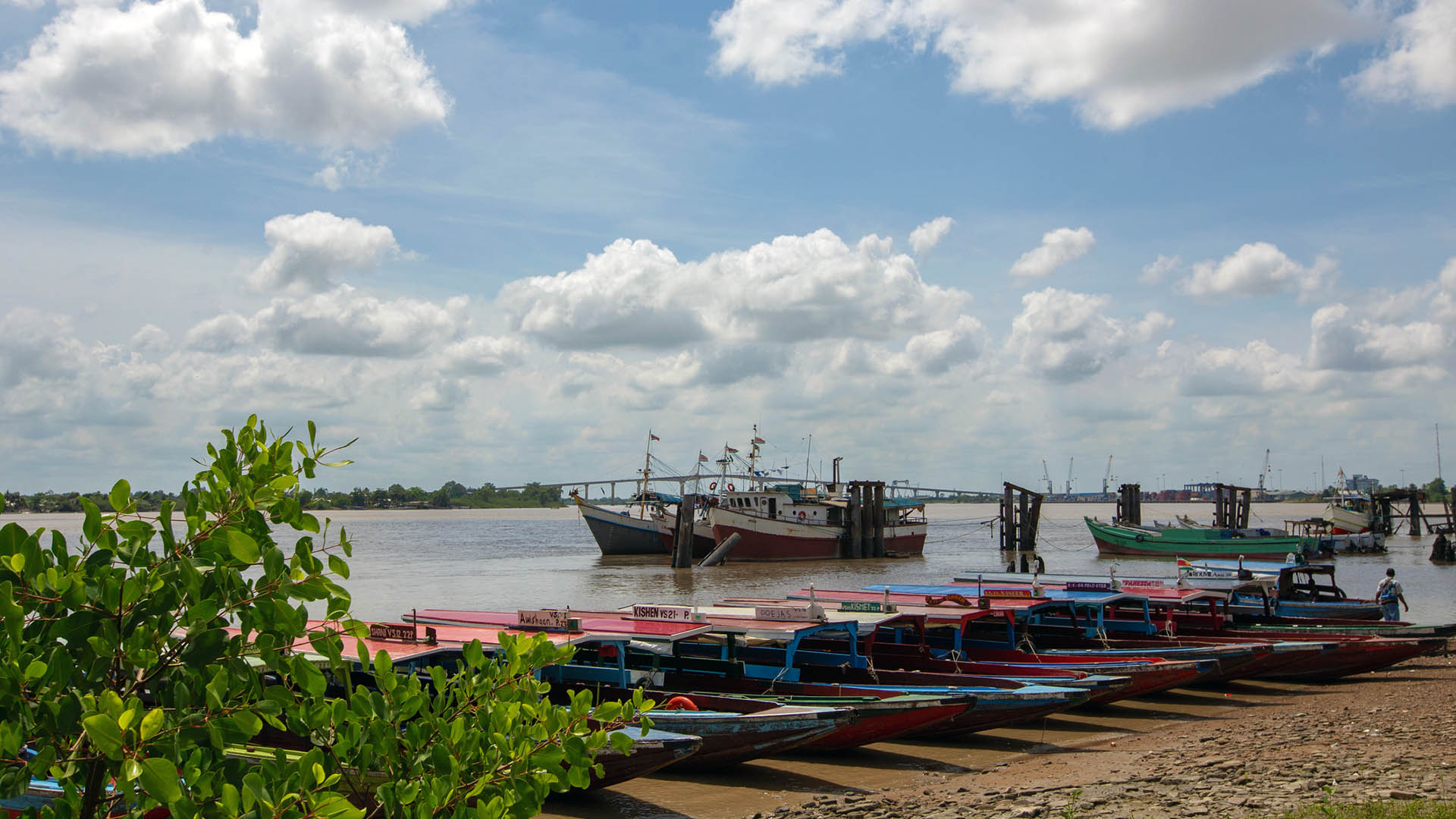 Suriname Corvina And Acoupa Weakfish ETP Project | Marine Stewardship ...