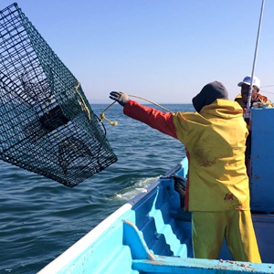 How You Can Eat Seafood to Help Fund Ocean Conservation