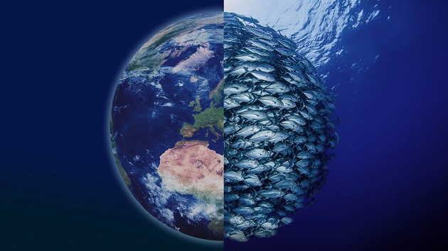 Stuðlað að umbótum