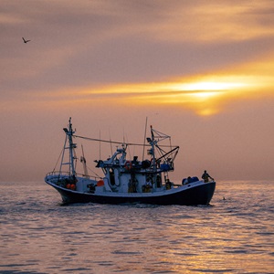 Six takeaways about the state of the world’s fisheries