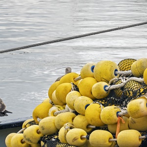 Fisheries Standard Toolbox Review