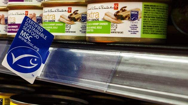 Changes to the MSC claims