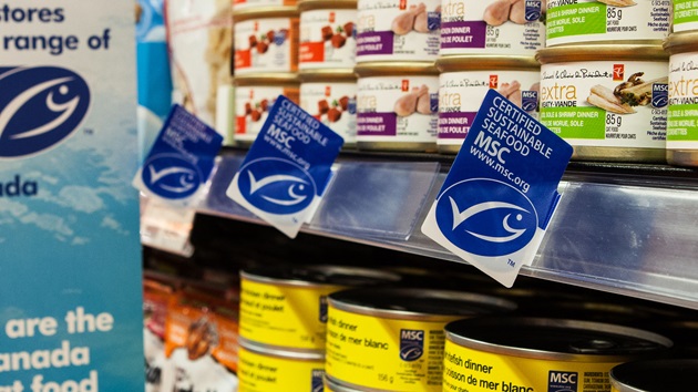 Changes to the MSC claims