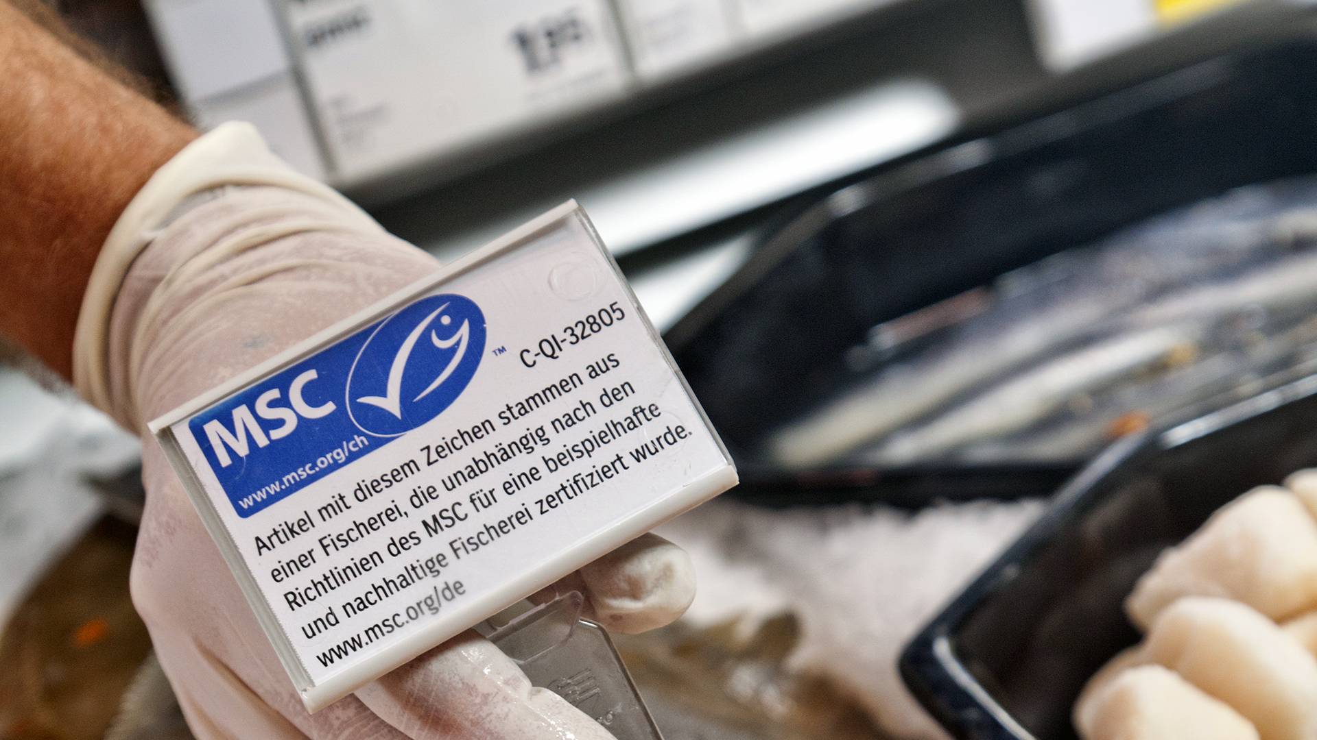 Utilisation Du Label MSC | Marine Stewardship Council