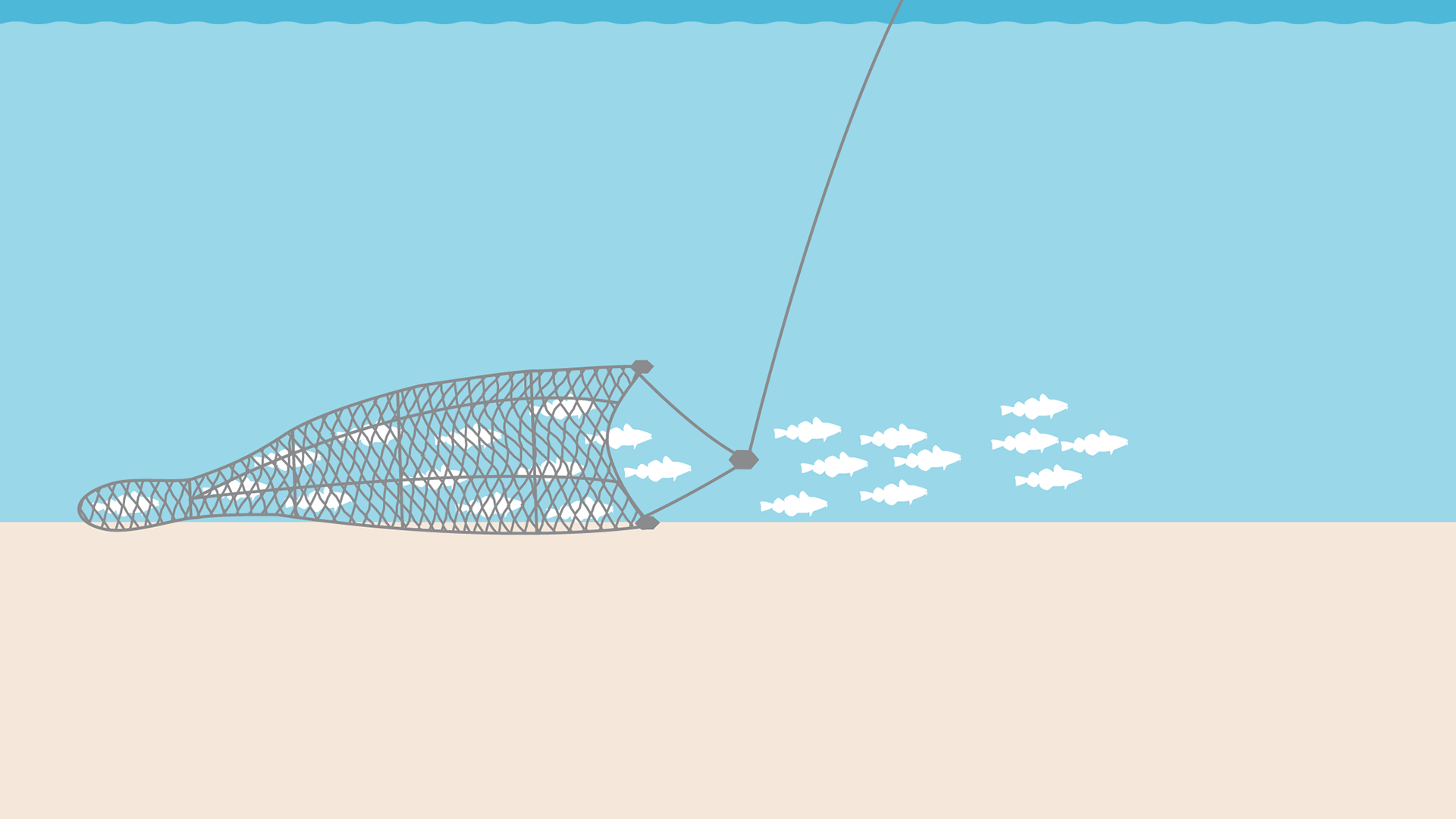trawl fish net, trawl fish net Suppliers and Manufacturers at
