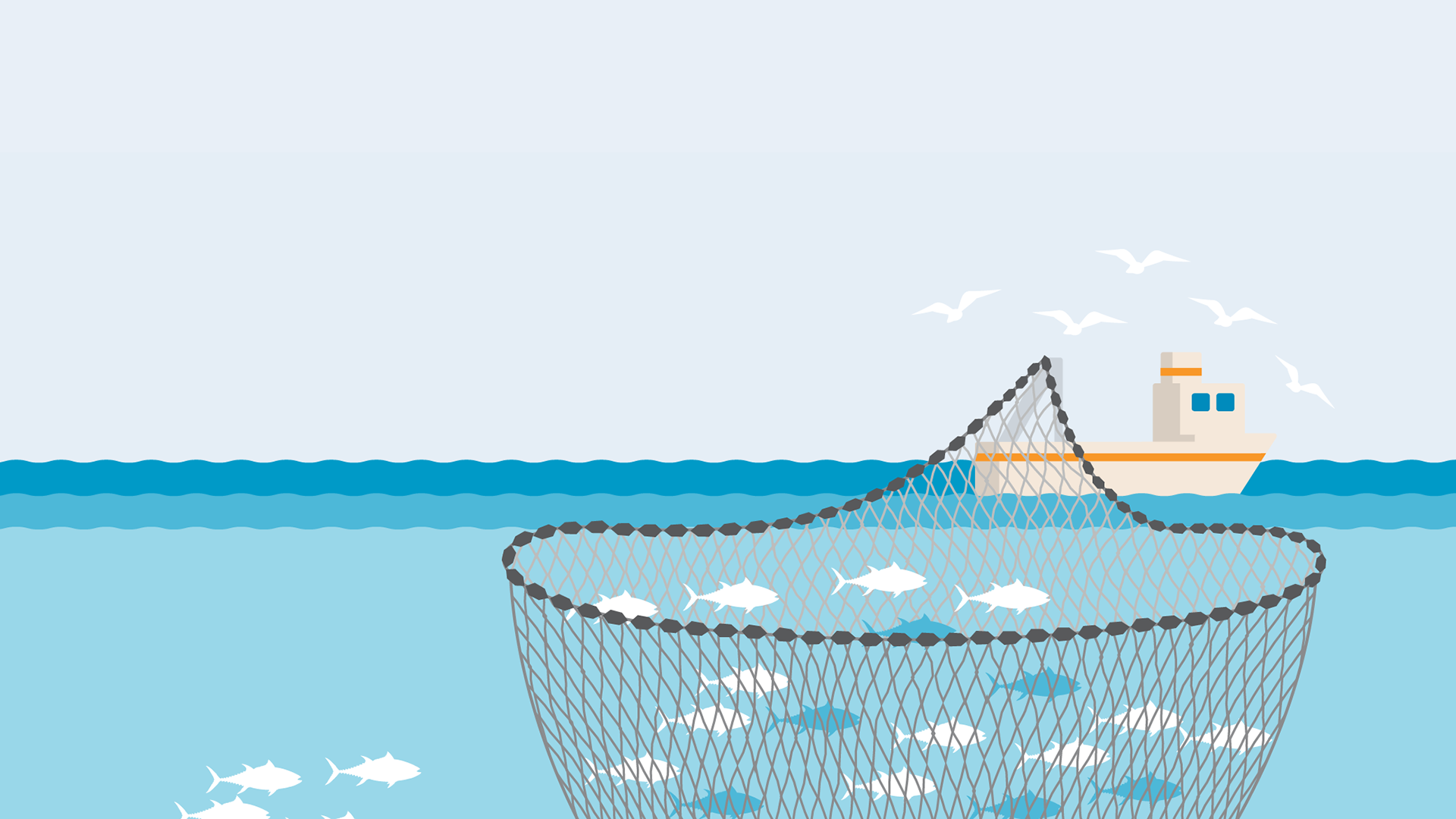 Purse Seine Fishing Net Manufacture & Supplier at GTFL