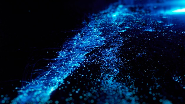 UN Decade of Ocean Science for Sustainable Development