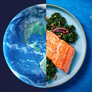 Sustainable seafood myths exposed