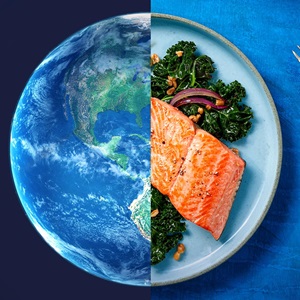 What is Sustainable Seafood? Myth-buster