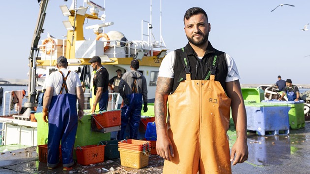 The return of Iberian sardines