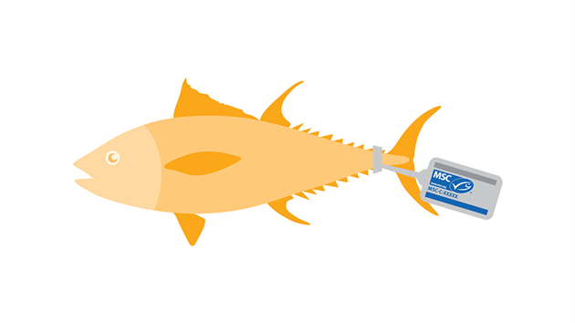 Where does your MSC labelled product come from?