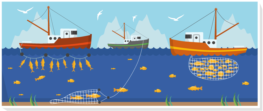 漁業の定義：例３