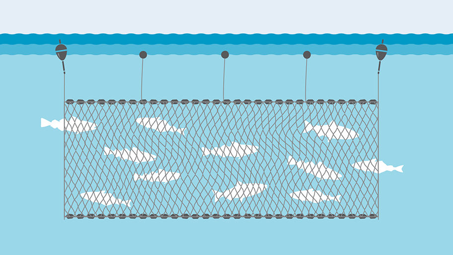 gill net, gill net Suppliers and Manufacturers at