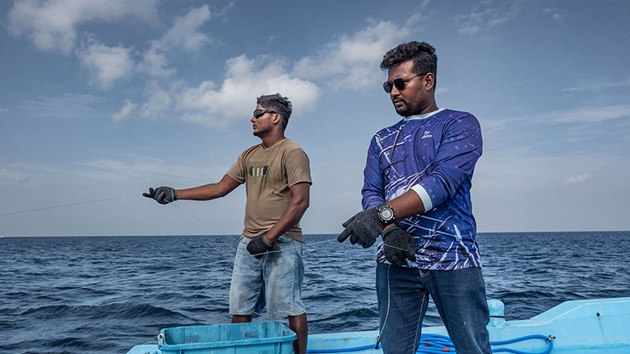 Maldives yellowfin tuna