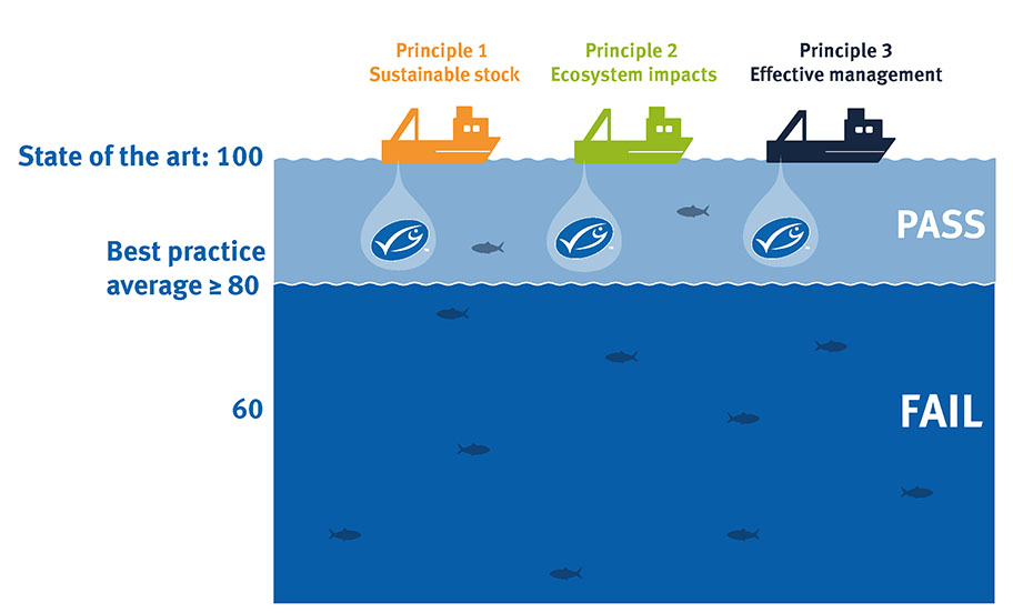 Graphic showing MSC Fisheries Standard scoring average: a fishery must score an average score of 80 across all performance indicators under each of three principles