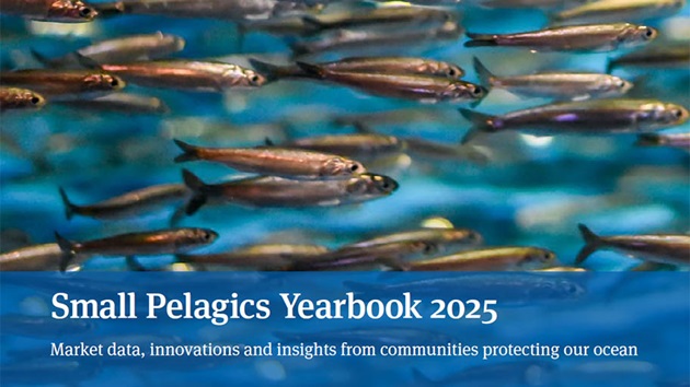 Small Pelagics Yearbook 2025
