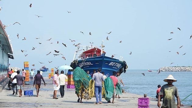 Kerala deep-sea shrimp: Assessing bycatch reduction devices