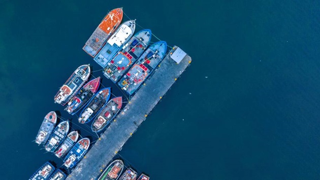 MSC Improvement Program documents