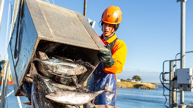 Working together for sustainable seafood