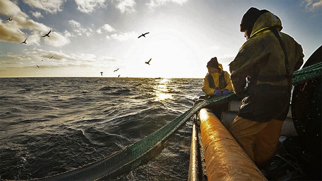 Sustainable Scotland: Future-proof fishing
