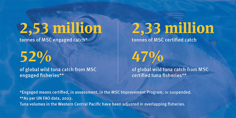 Infographic: Tuna global wild catch - MSC engaged 52% and MSC certified 47%