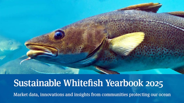 Raport MSC - kompedium wiedzy o białych rybach