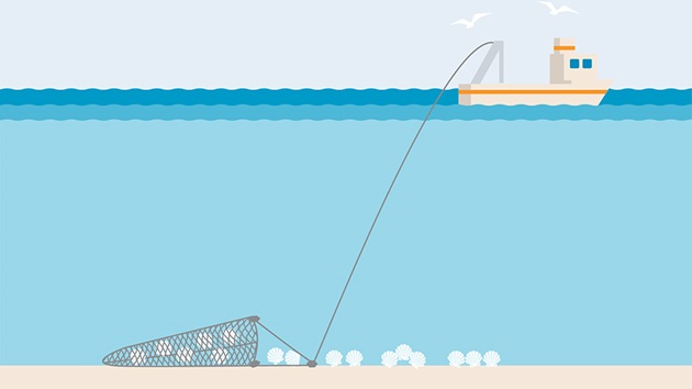 Pole and Line Fishing, Marine Stewardship Council