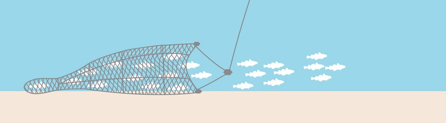 Demersal or Bottom Trawl