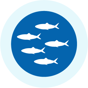 Fisheries improving | Marine Stewardship Council