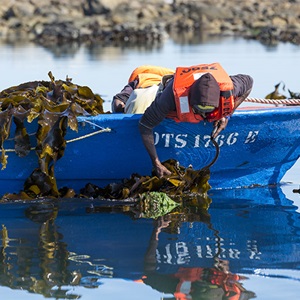 Pêche fantôme : Gérer les impacts des engins de pêche 