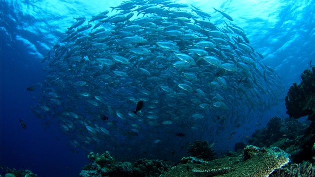 Czym jest zrównoważone rybołówstwo?