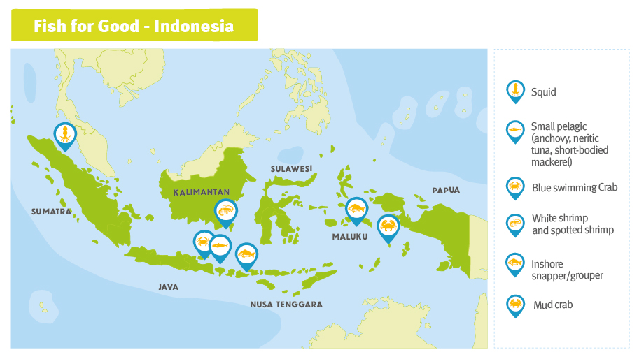 Fish For Good Indonesia | Marine Stewardship Council