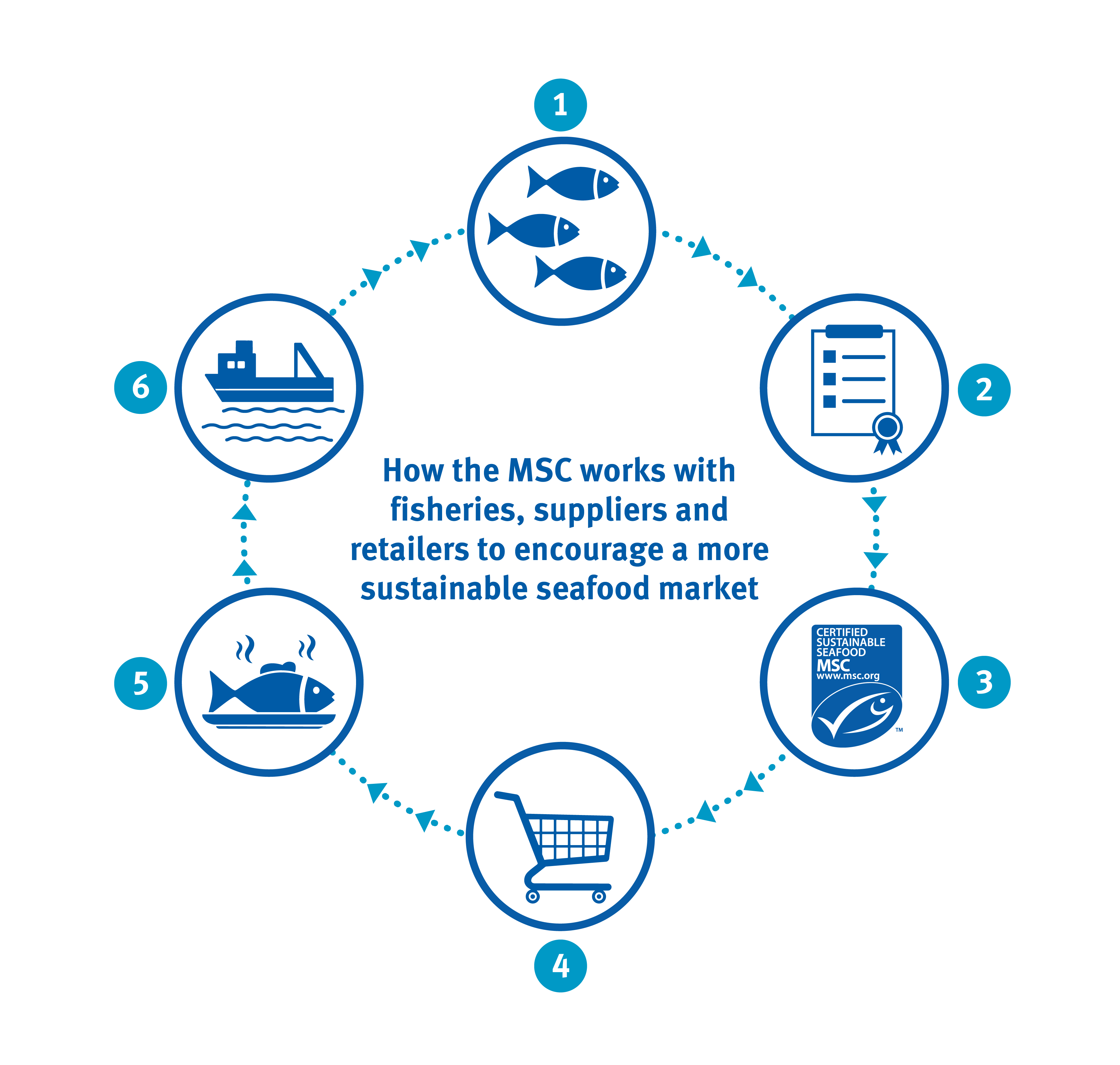 Our Approach To Sustainability | Marine Stewardship Council