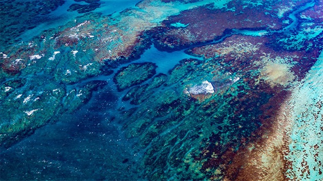 Der MSC und die UN-Ziele für nachhaltige Entwicklung