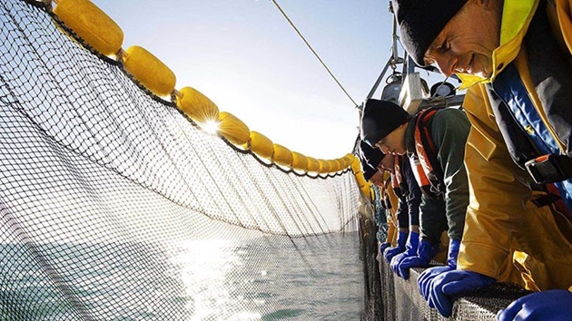 Was ist nachhaltige Fischerei?