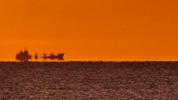 Morskie fale upałów i zrównoważone połowy