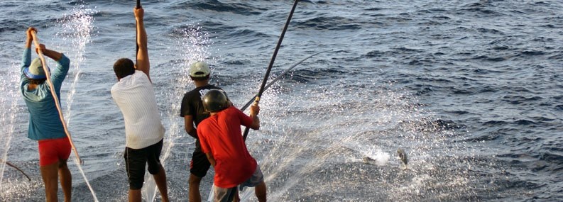 tuna fishing with pole