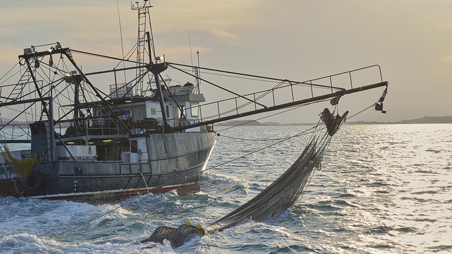 Real fishing boat equipped with electronic games drew the attention to the  preservation of the oceans. - Fish Forward (WWF)