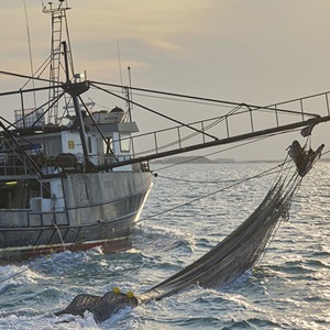 Fishery innovations that drive ocean biodiversity research