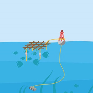 Fish aggregating devices (FADs)