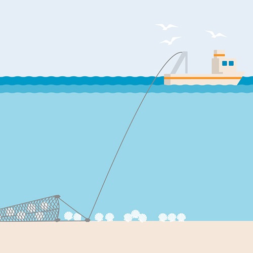 Dredge fishing